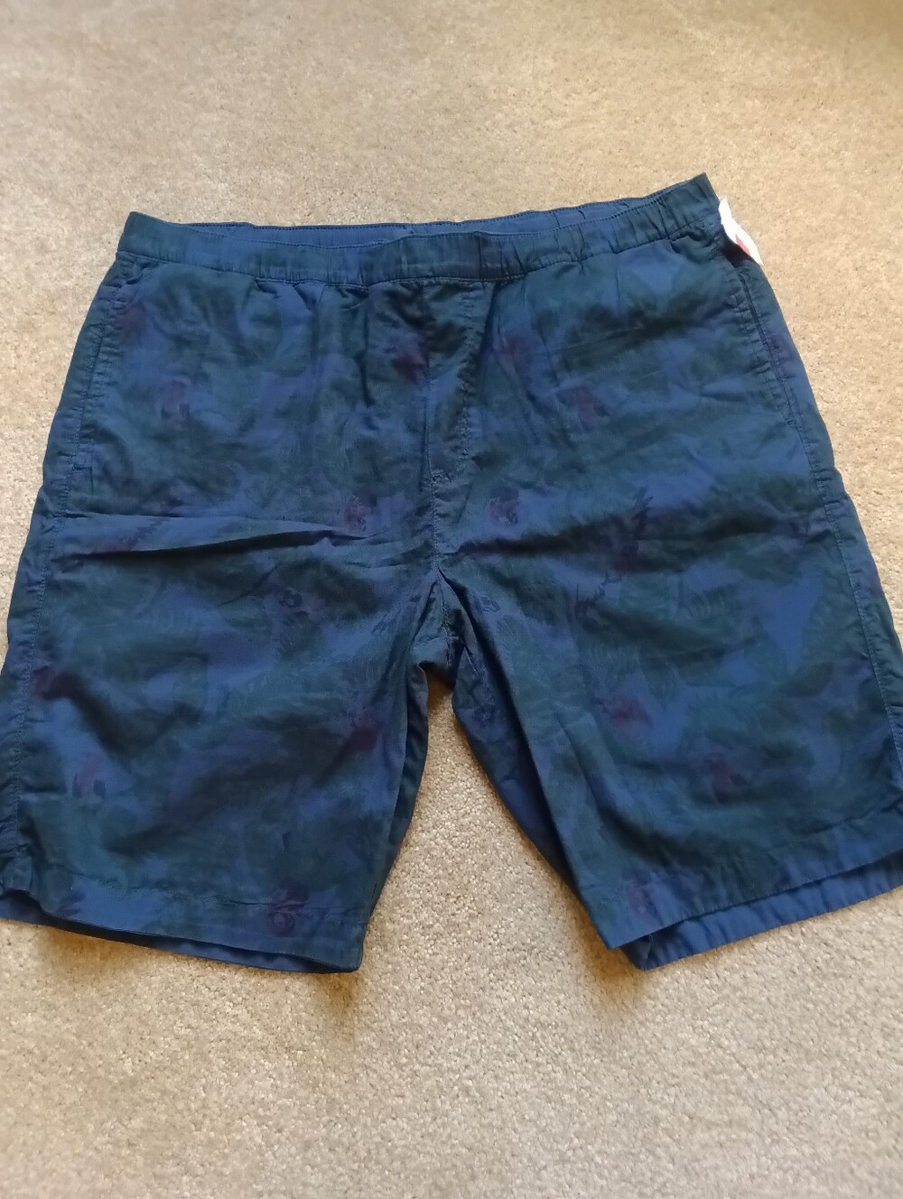 Reversible pull on swim trunks/ Shorts